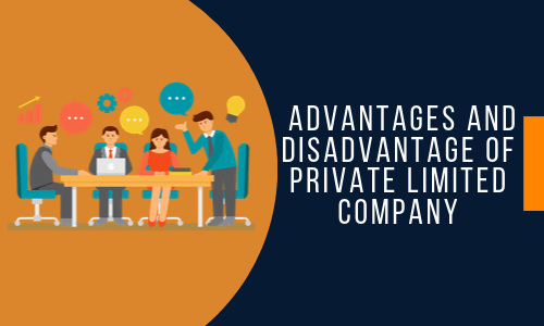 Advantages and Disadvantages of Private Limited Company